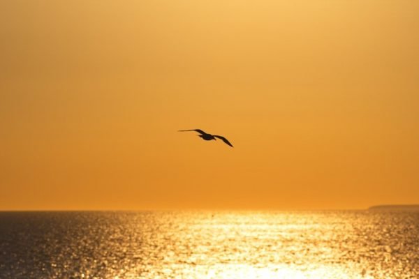 Sonnenuntergang am Atlantik Originalbild