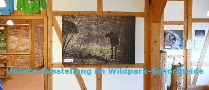 Ausstellung im Wildpark-Schorfheide