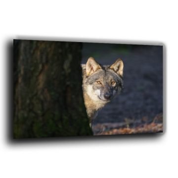 Fotoleinwand Kopfportrait Wolf