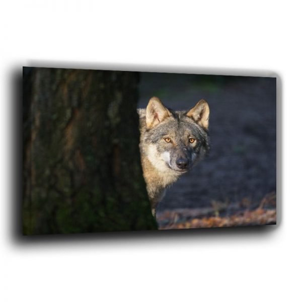 Fotoleinwand Kopfportrait Wolf